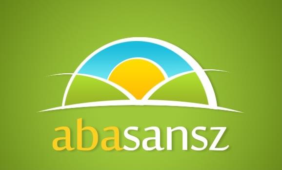 abasansz audit