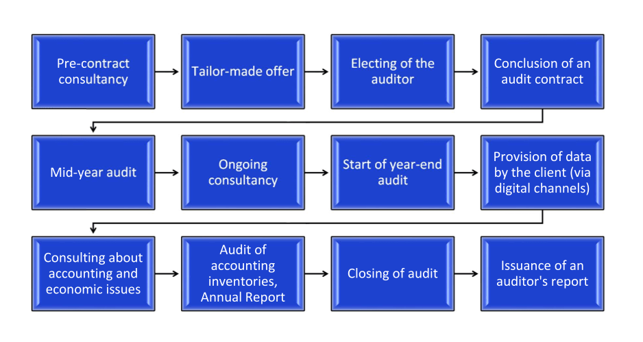 audit process